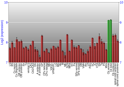 Multi-state expression graph