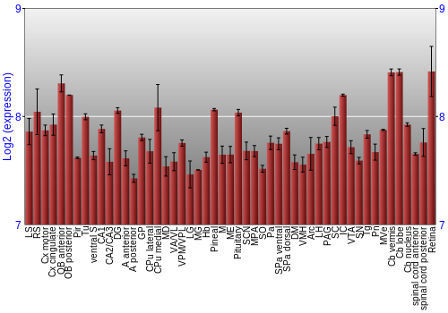 Expression graph