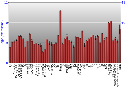 Expression graph