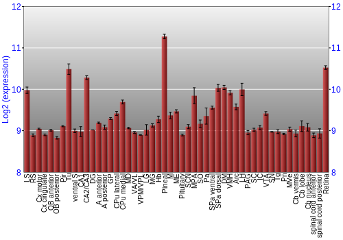 Expression graph
