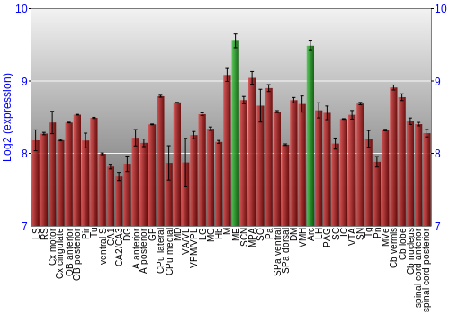 Multi-state expression graph