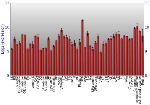 Expression graph