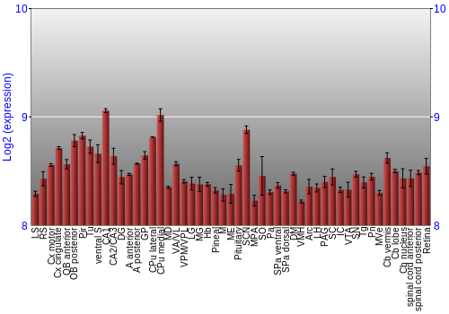Expression graph