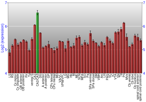 Multi-state expression graph