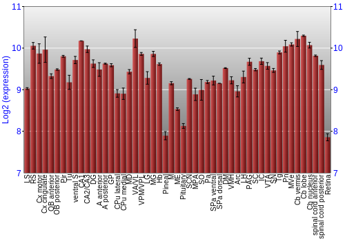 Expression graph
