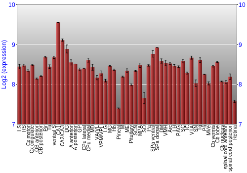 Expression graph