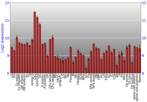 Expression graph