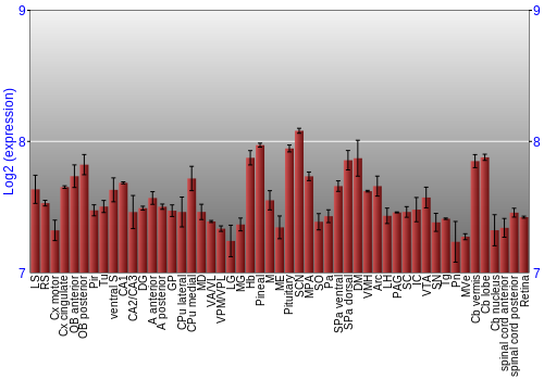 Expression graph