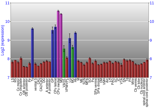 Multi-state expression graph