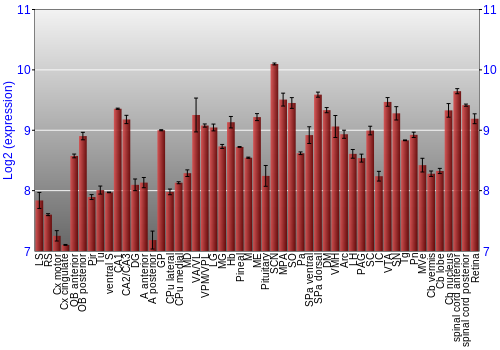 Expression graph