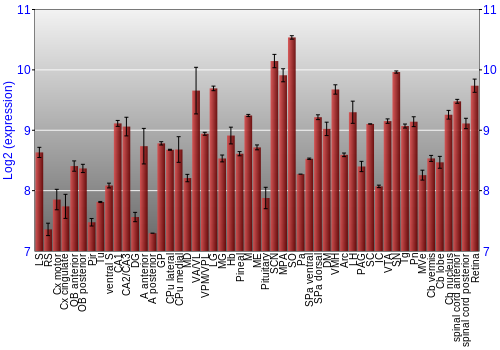 Expression graph