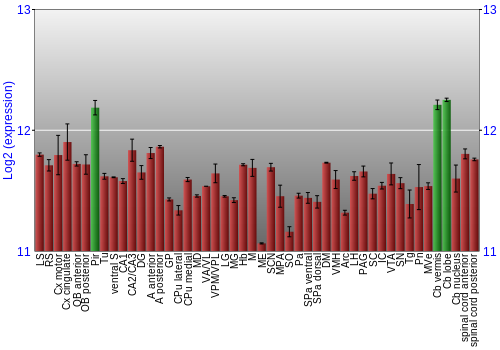 Multi-state expression graph