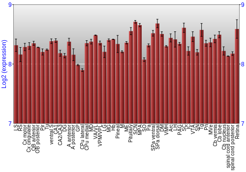 Expression graph