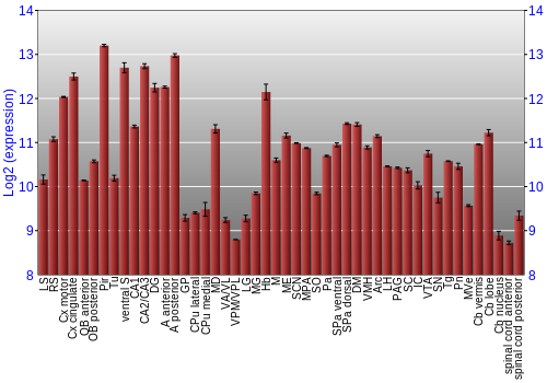 Multi-state expression graph