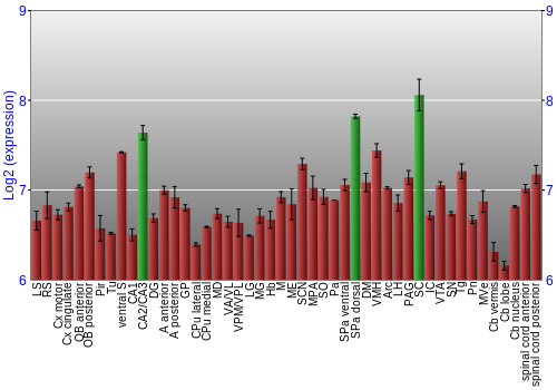 Multi-state expression graph