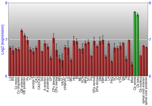 Multi-state expression graph