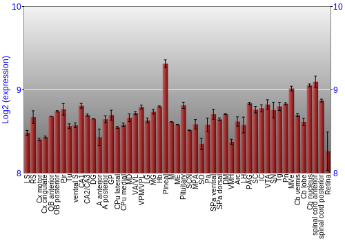Expression graph