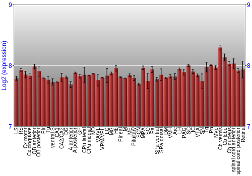 Expression graph