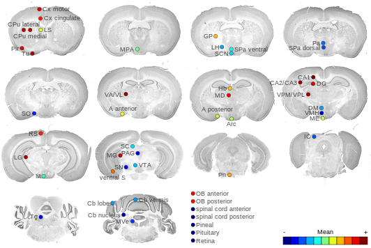 Expression map