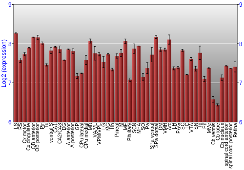 Expression graph