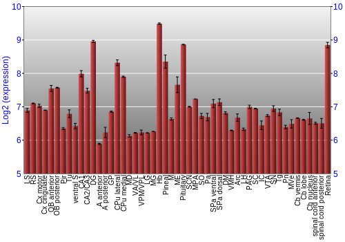 Expression graph