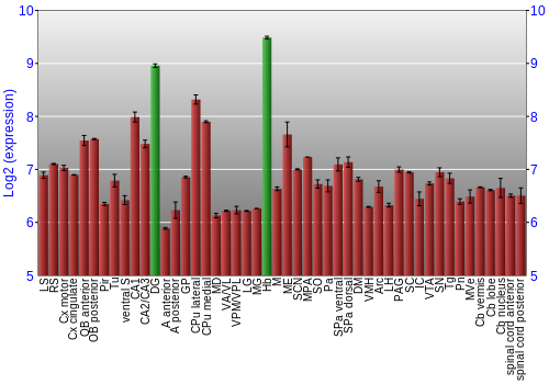 Multi-state expression graph