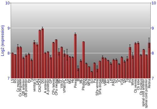 Expression graph