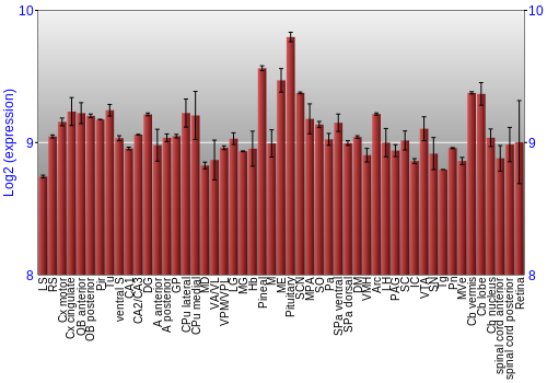 Expression graph