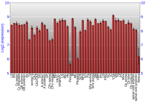 Expression graph