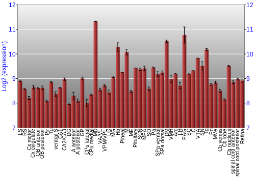Expression graph