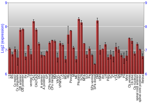 Expression graph