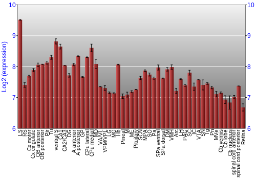 Expression graph