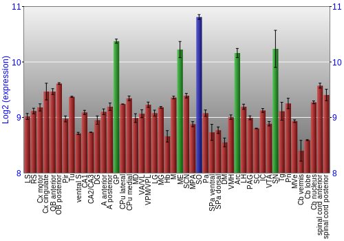 Multi-state expression graph