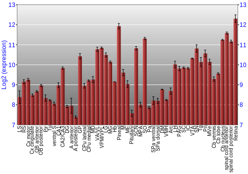 Expression graph