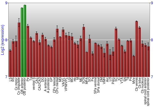 Multi-state expression graph