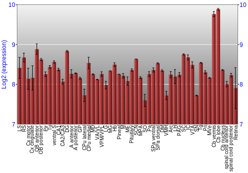 Expression graph