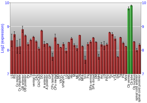 Multi-state expression graph