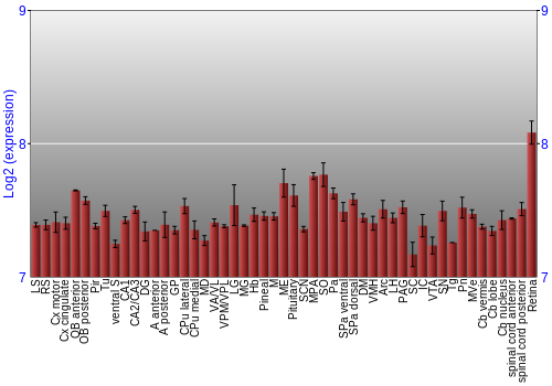 Expression graph