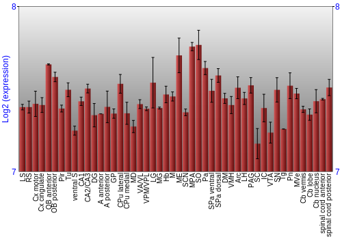 Multi-state expression graph
