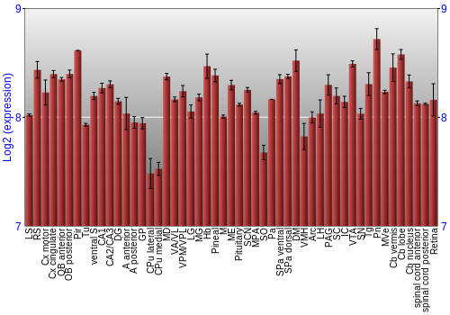 Expression graph