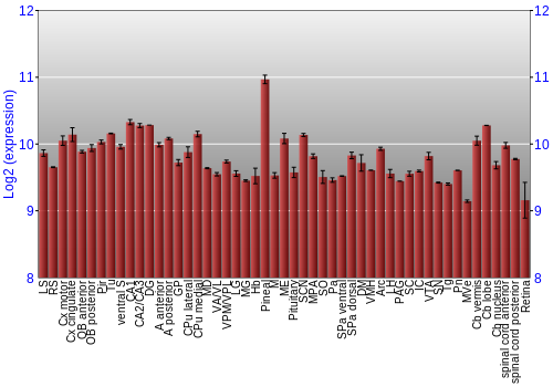 Expression graph