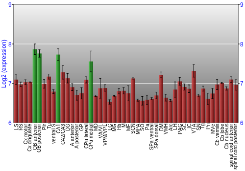Multi-state expression graph