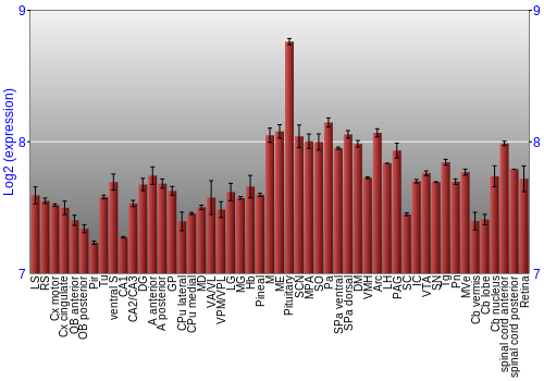 Expression graph