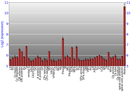 Expression graph
