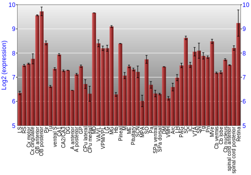 Expression graph
