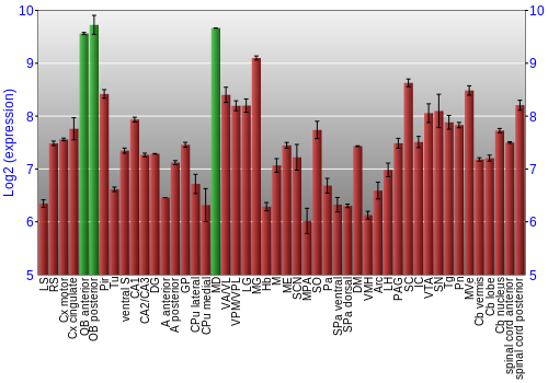 Multi-state expression graph
