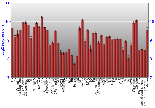 Expression graph