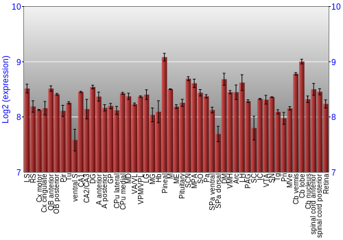 Expression graph