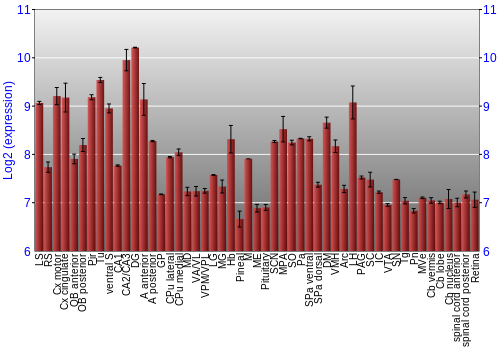 Expression graph