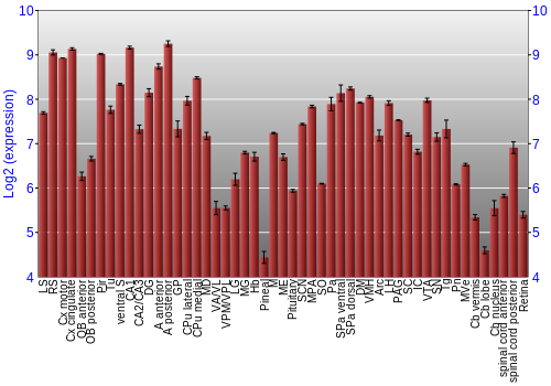 Expression graph